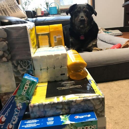 Black dog sitting with packaged hygiene products.