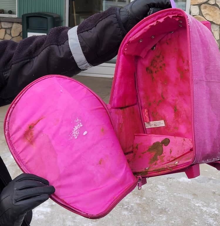 Pink Backpack