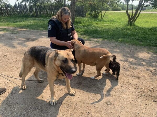 Peace Officer with Dogs