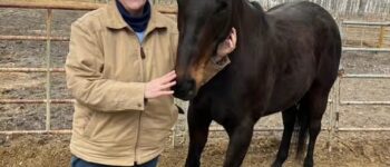 Nancy, the new director of animal protection services, and her horse Missy.