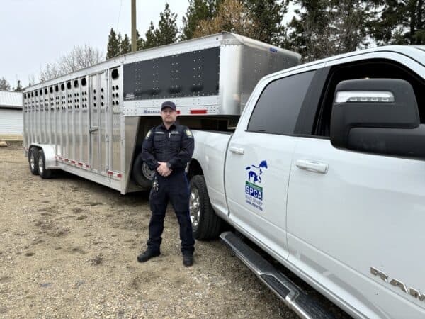What Happens After a Rescue? 6 Peace Officer Luke standing in front of new stock trailer