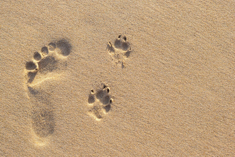 feet in sand
