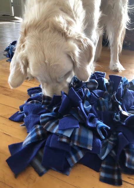 Cooper snuffle mat enrichment