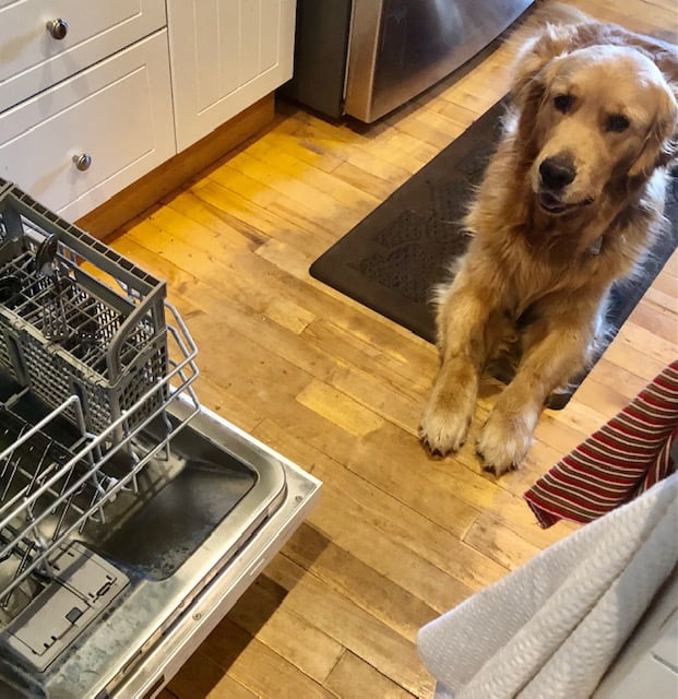 Dishwasher stay 1
