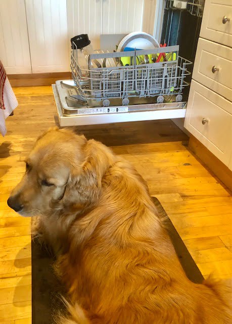 Dishwasher stay 2