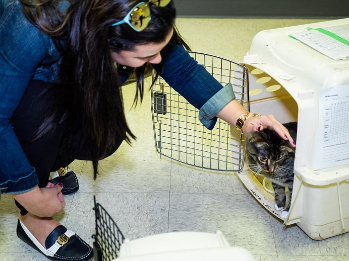 What Happens After a Rescue? 5 Fot Mac Fire animals4