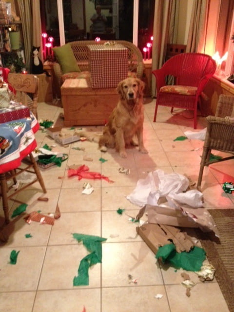 Guilty 2