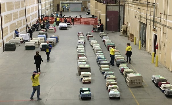 The staging area dilling up as the carriers come off the truck