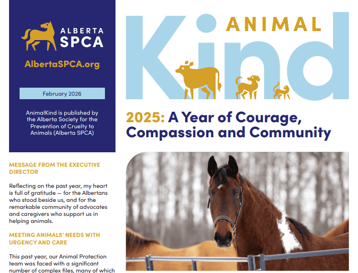 Photo of the cover of AnimalKind newsletter including a photo of a dark brown horse
