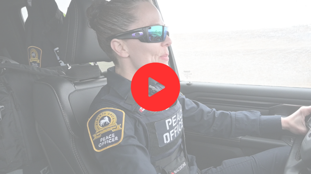 PO video