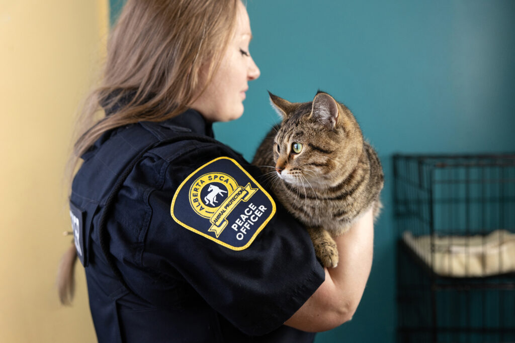 Bill 22: The Animal Protection Amendment Act | Alberta SPCA