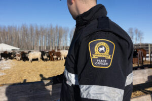 Alberta's Animal Prohibition Orders 2 Close up of peace officers flash.
